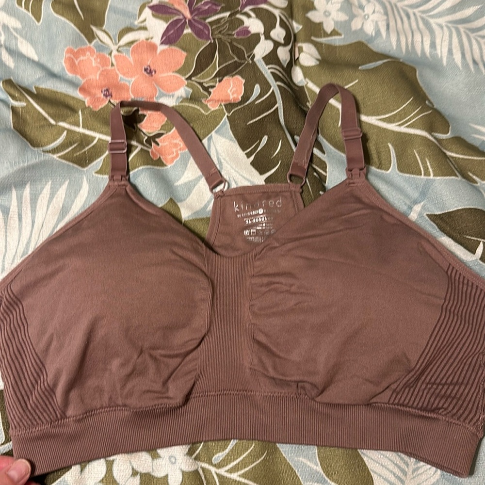 Kindred Bravely Brown Bra